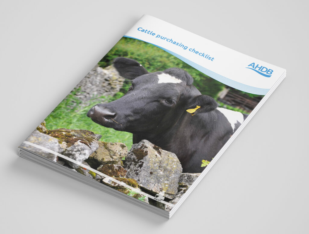 AHDB Cattle Purchasing Checklist document