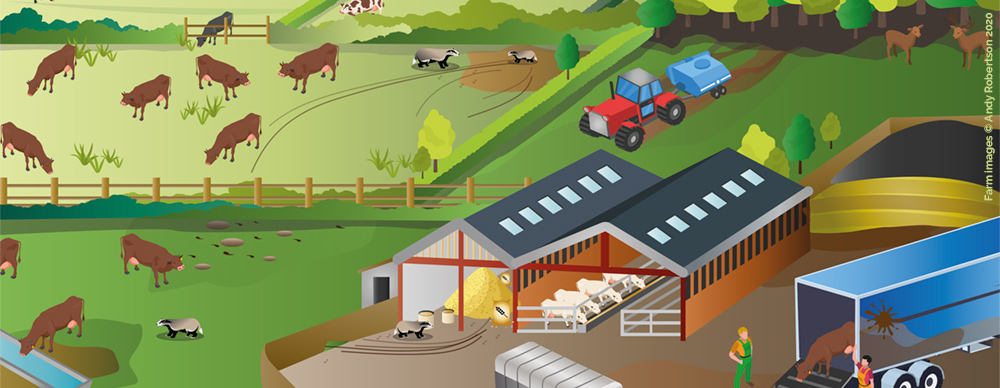 Farm images © Andy Robertson 2020