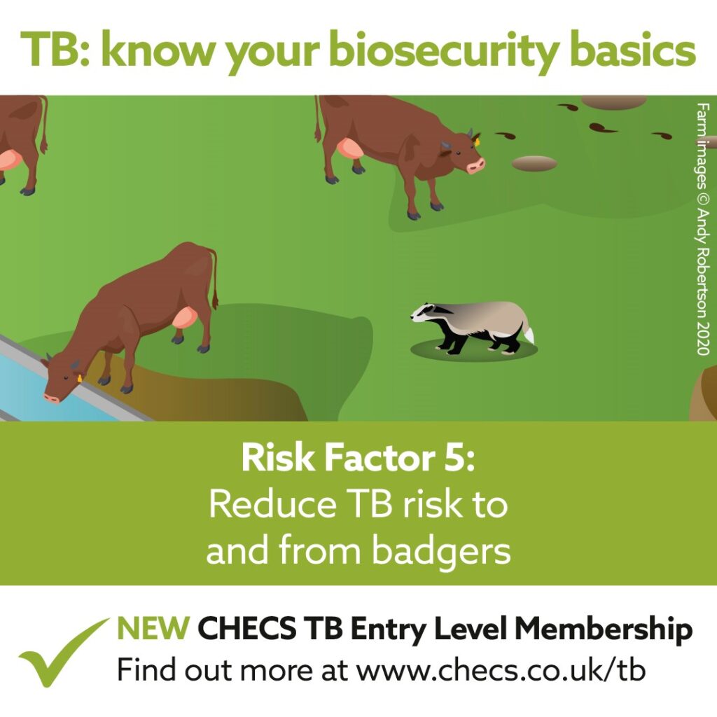 Reduce TB risk to and from badgers