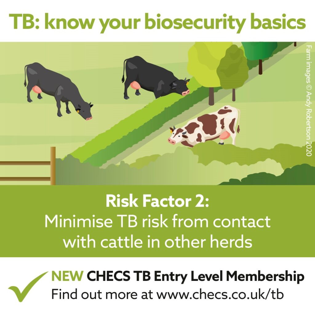 Minimise TB risk from contact with cattle in other herds