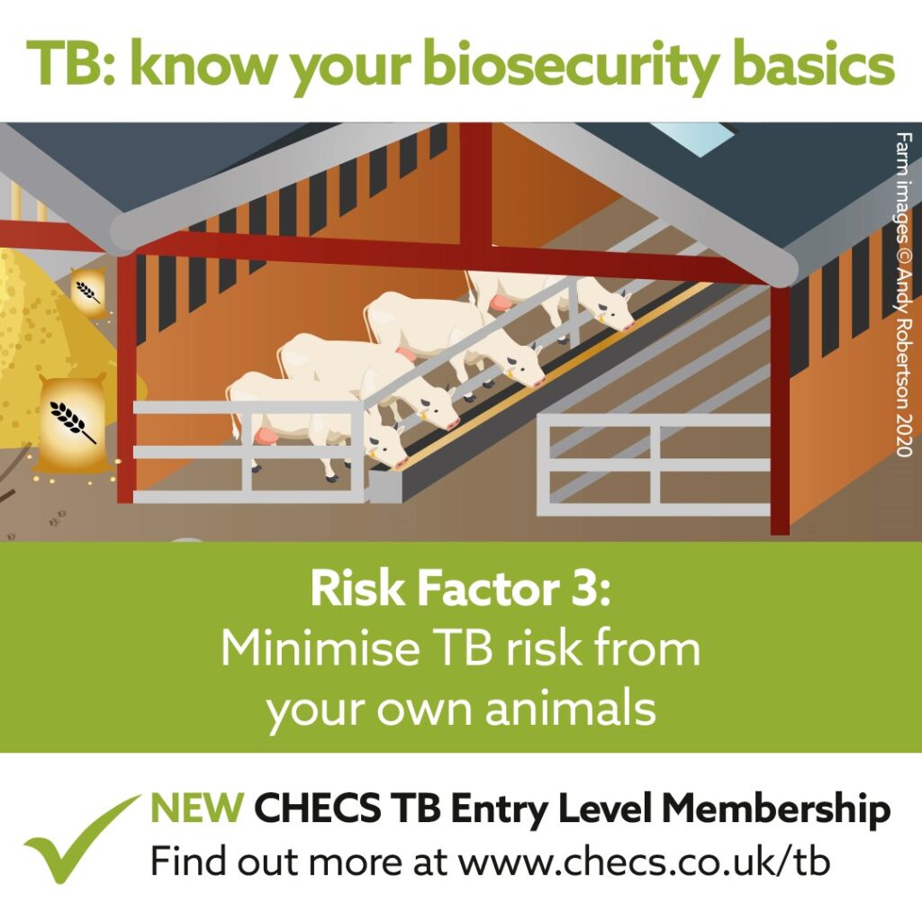 Minimise TB risk from your own animals