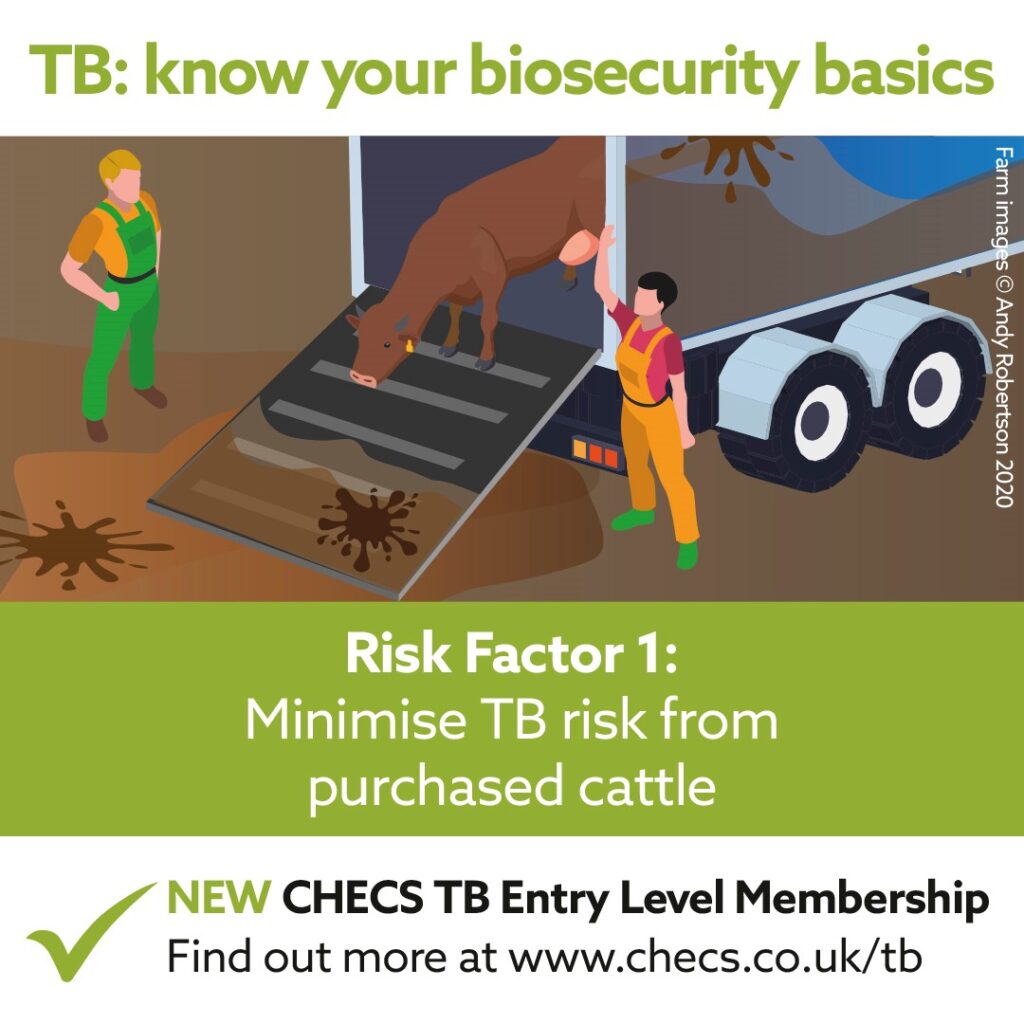Minimise TB risk from purchased cattle